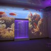 Проекционный дизайн "Виртуальная реальность" базовый комплект 500 анимаций - «globural.ru» - Воронеж