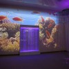 Проекционный дизайн "Виртуальная реальность" расширенный комплект 1000 анимаций - «globural.ru» - Воронеж