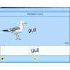 Английский язык. Освоение клавиатуры - «globural.ru» - Воронеж