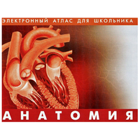 Анатомия. (Цифровой атлас школьника) - «globural.ru» - Воронеж