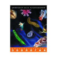 Зоология. Микрофотографии. (Цифровая база изображений) - «globural.ru» - Воронеж