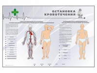 Электрифицированный стенд "Остановка кровотечения" - «globural.ru» - Воронеж