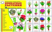 Демонстрационные карточки "Комнатные растения" - «globural.ru» - Воронеж