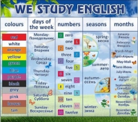Стенд "We study english" - «globural.ru» - Воронеж