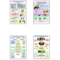 Плакаты ПРОФТЕХ "Классификация овощей и переработка" (8 пл, винил, 70х100) - «globural.ru» - Воронеж