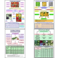 Плакаты ПРОФТЕХ "Классификация овощей" (11 пл, винил, 70х100) - «globural.ru» - Воронеж