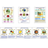 Плакаты ПРОФТЕХ "Плоды" (6 пл, винил, 70х100) - «globural.ru» - Воронеж