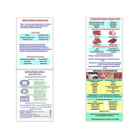 Плакаты ПРОФТЕХ "Классификации и виды мяса" (4 пл, винил, 70х100) - «globural.ru» - Воронеж