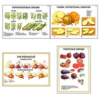 Плакаты ПРОФТЕХ "Ассортимент овощных культур" (12 пл, винил, 70х100) - «globural.ru» - Воронеж