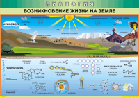 Таблица Возникновение жизни на Земле 1000*1400 винил - «globural.ru» - Воронеж