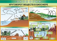 Таблица Круговорот веществ в биосфере 1000*700 винил - «globural.ru» - Воронеж