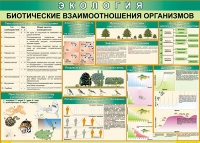 Таблица Биотические взаимоотношения организмов 1000*700 (винил) - «globural.ru» - Воронеж