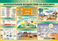 Таблица Антропогенное воздействие на биосферу 1000*700 винил - «globural.ru» - Воронеж