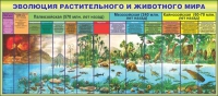 Стенд "Эволюция растительного и животного мира" - «globural.ru» - Воронеж
