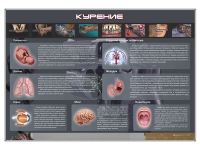 Стенд "Курение" (вариант 1) - «globural.ru» - Воронеж