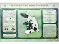 Электрифицированный стенд "Устройство микроскопа и правила работы c ним" - «globural.ru» - Воронеж