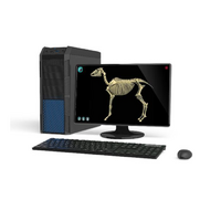 Макет масштабный «Скелет Лошади» Масштаб 1:2 - «globural.ru» - Воронеж