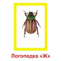 Логопедка "Ж" (логопедические карточки) - «globural.ru» - Воронеж