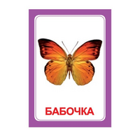 Логопедка "Ч" (логопедические карточки) - «globural.ru» - Воронеж