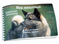Пособие для слабовидящих "Домашние животные" - «globural.ru» - Воронеж