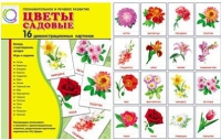 Демонстрационные карточки "Цветы садовые" - «globural.ru» - Воронеж