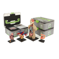 Учебный набор "Анатомия в деталях" - «globural.ru» - Воронеж