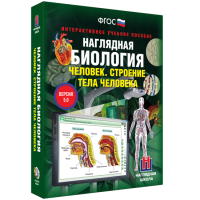 Наглядная биология. Человек. Строение тела человека - «globural.ru» - Воронеж