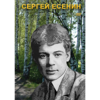 DVD Сергей Есенин - «globural.ru» - Воронеж