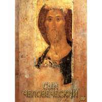 DVD Сын Человеческий (от Библии к Евангелию) - «globural.ru» - Воронеж