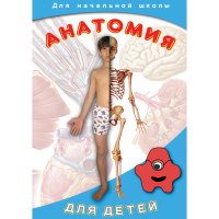 DVD  Анатомия для детей - «globural.ru» - Воронеж