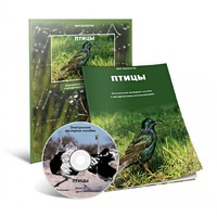 Электронное наглядное пособие «Птицы» - «globural.ru» - Воронеж