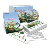 Комбинированное наглядное пособие «Растения» - «globural.ru» - Воронеж
