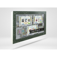 Сенсорная панель «Финансовая грамотность» для школ 55" - «globural.ru» - Воронеж