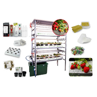 Гидропонная установка "Клубничная ферма" - «globural.ru» - Воронеж