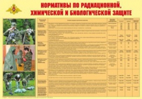 Плакат "Нормативы по радиационной, химической и биологической защите" - «globural.ru» - Воронеж