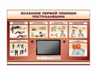 Многофункциональный интерактивный стенд-тренажер "Оказание первой помощи пострадавшим" для учащихся общеобразовательных учреждений - «globural.ru» - Воронеж