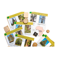 Коллекция "Древесные растения и их распространение" (демонстрационная) - «globural.ru» - Воронеж