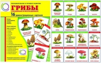 Демонстрационные карточки  "Грибы съедобные и не съедобные" - «globural.ru» - Воронеж