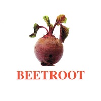 "Vegetables-Greenery-2" ("Овощи-Зелень-2") английские карточки Домана - «globural.ru» - Воронеж