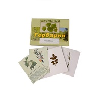 Гербарий "Деревья и кустарники" (22 вида, с иллюстрациями) - «globural.ru» - Воронеж