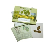 Гербарий "Дикорастущие растения" (30 видов, с иллюстрациями) - «globural.ru» - Воронеж