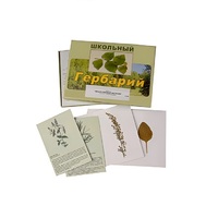 Гербарий "Лекарственные растения" (22 вида, с иллюстрациями) - «globural.ru» - Воронеж