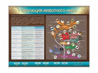 Интерактивный электрифицированный стенд "Эволюция животного мира" - «globural.ru» - Воронеж