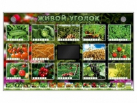 Комплект оборудования "Живой уголок" (растения) - «globural.ru» - Воронеж