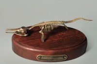 Модель скелета ихтиозавра Ichthyosaurus - «globural.ru» - Воронеж