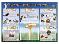 Стенд-уголок "Друзья наши меньшие" - «globural.ru» - Воронеж