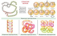 Плакаты и таблицы по общей химии - «globural.ru» - Воронеж