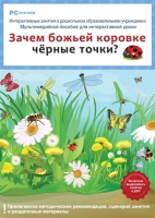 Интерактивные занятия в ДОУ. Зачем божьей коровке чёрные точки? - «globural.ru» - Воронеж