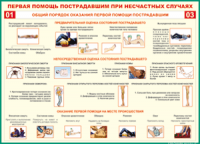  Таблица Общий порядок оказания первой помощи пострадавшим 1000*1400 винил	 - «globural.ru» - Воронеж