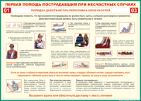 Таблица Порядок действий при переломах конечностей 1000*1400 винил - «globural.ru» - Воронеж